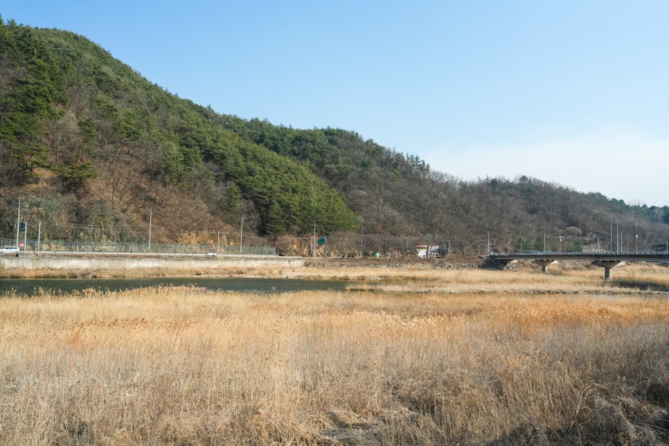 중평솔밭 사진 3