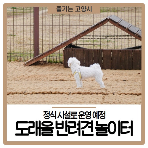 사진 3