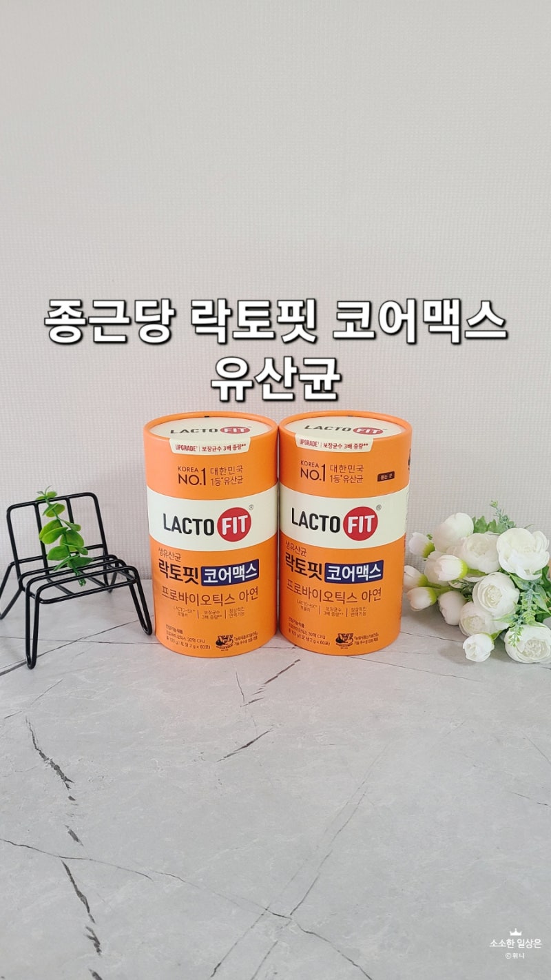종근당 락토핏 코어맥스 프로바이오틱스 아연 유산균 복용 후기