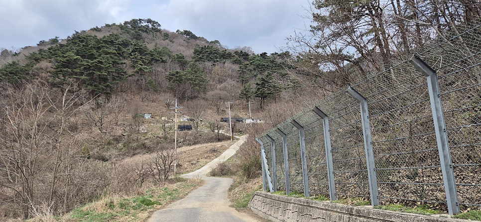 장구목산 사진 2