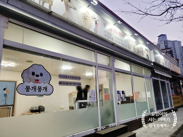 사진 2