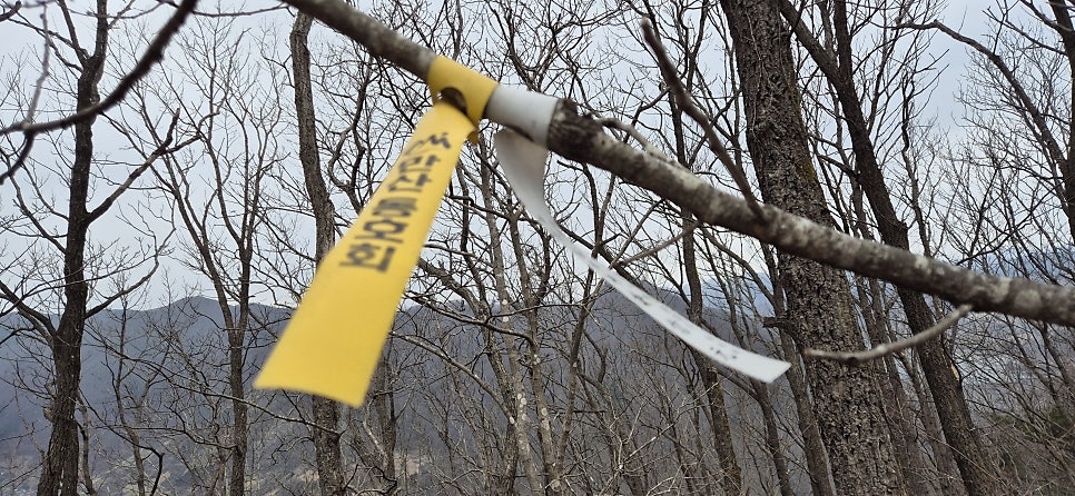 장구목산 사진 4