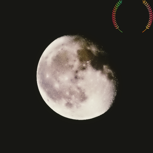  안녕하세요 모암산 둘레길로 793605