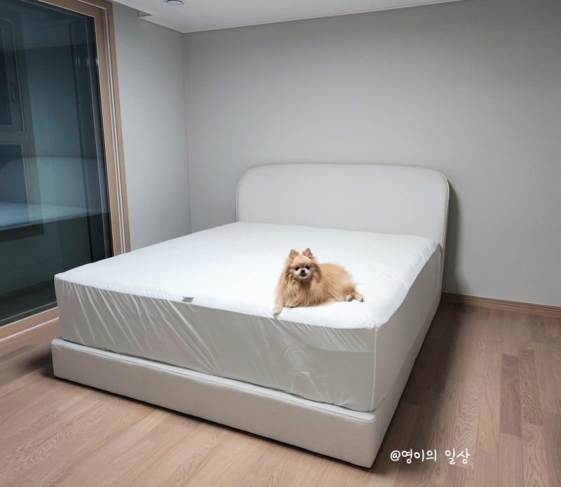 금성침대 베드리움 프레임 & 베스트슬립 매트리스 엘라비아 G5 라지킹 사이즈 설치 후기