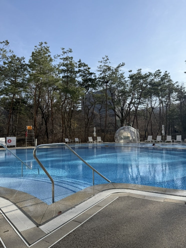  파라스파라 서울 우디플레이트 조식, 수영장, 델리 후기!