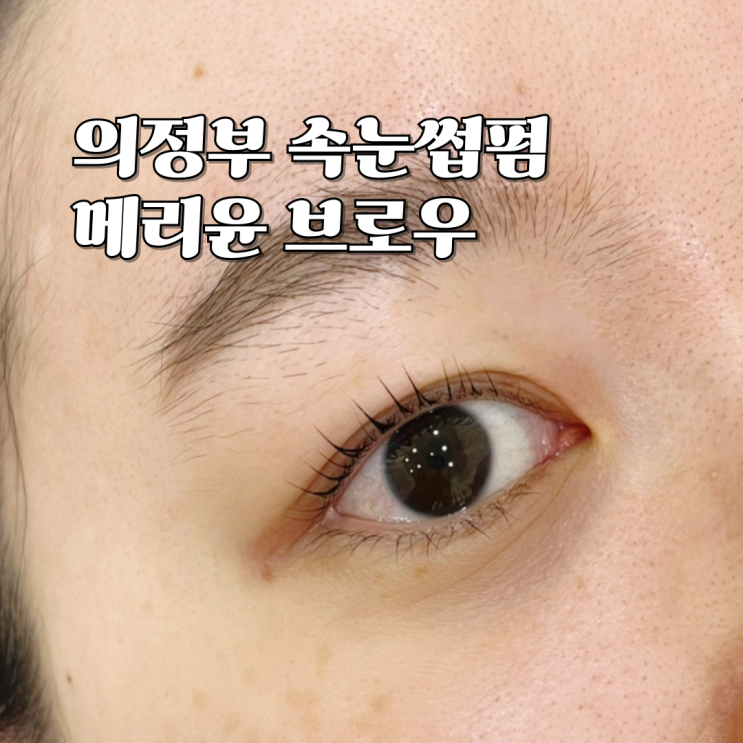  의정부 속눈썹펌 메리윤브로우 블랙틴팅펌 후기