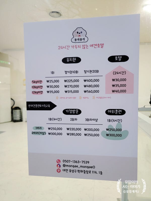 사진 3