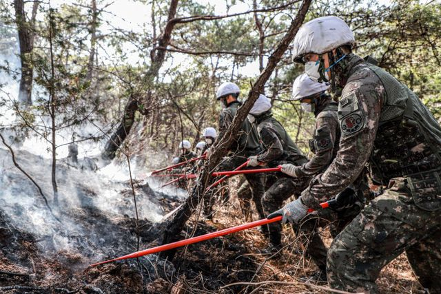  군, 산불 진화에 장병 600명·헬기 49대 추가 투입