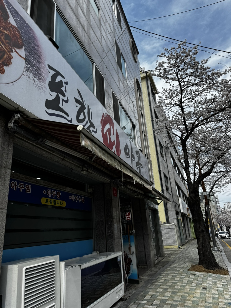 포항생아구 사진 2