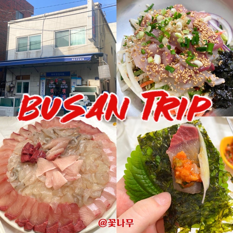  내돈내산 부산 여행 영도 영선동 노포 가성비 현지인 로컬 맛집 작은시장횟집