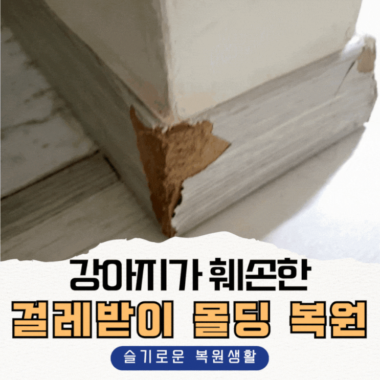  강아지가 훼손한 걸레받이 몰딩 복원하기