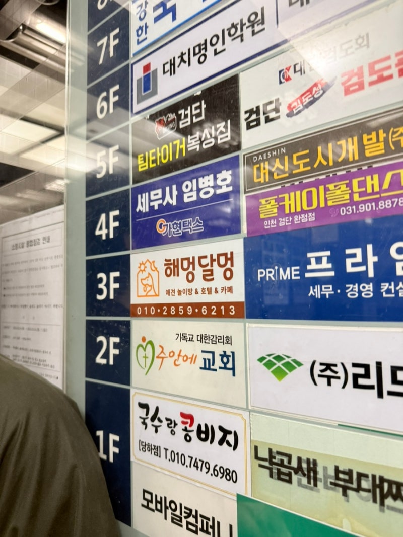 사진 7