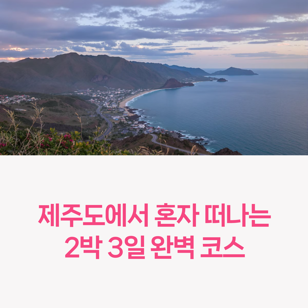  제주도 혼행 브이로그 2박 3일 감성 여행 코스 추천