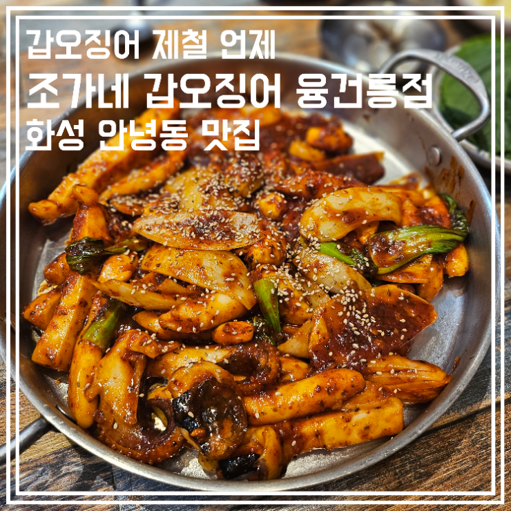  갑오징어 제철 화성 안녕동 맛집 조가네갑오징어 융건릉점