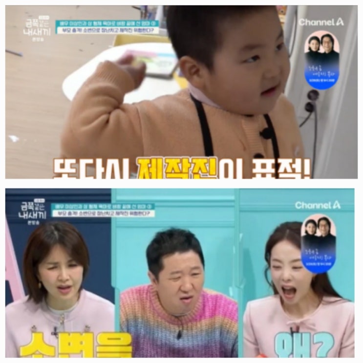 금쪽이 자녀 이상인 근황 오줌 장난 mbti 프로필 금쪽이 자녀 이상인 근황 오줌 장난 mbti 프로필