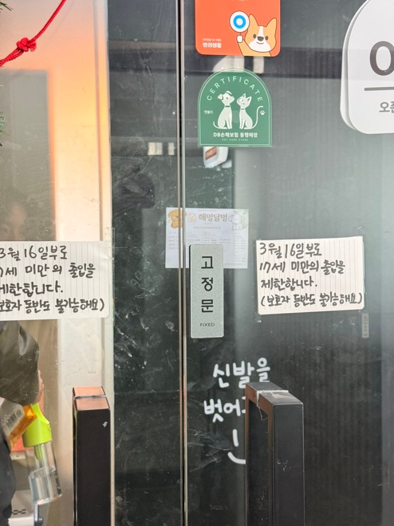 사진 9