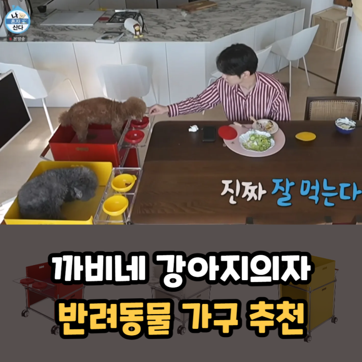  나혼자산다 까비네 강아지의자 반려동물 가구 추천