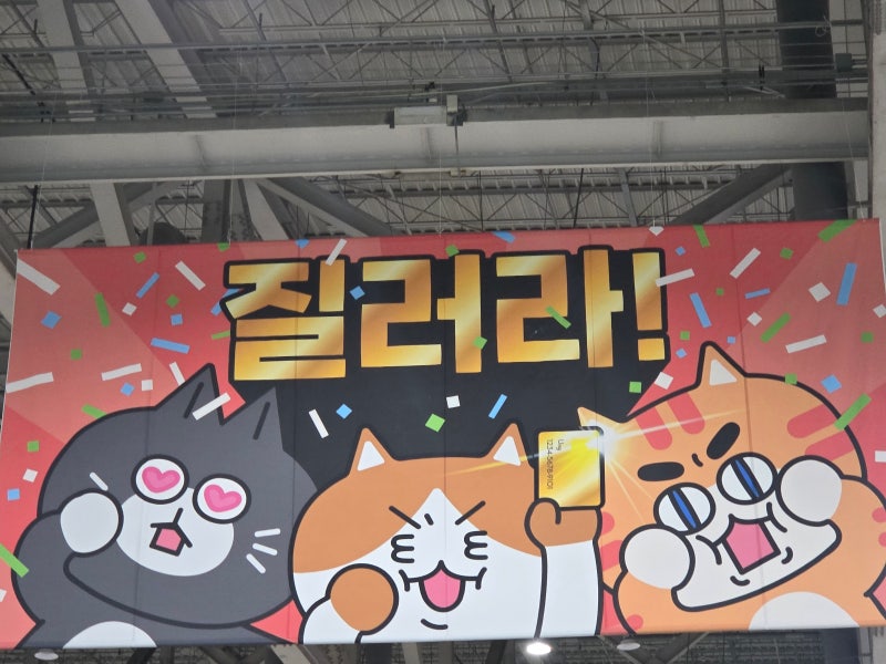 부산 궁디팡팡 캣페스타 2025 일정 부산 궁팡 오픈런 찐후기 라인업 경품 냥피또 주차