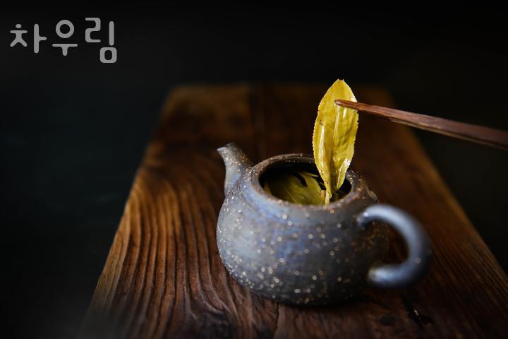 차우림 사진 3