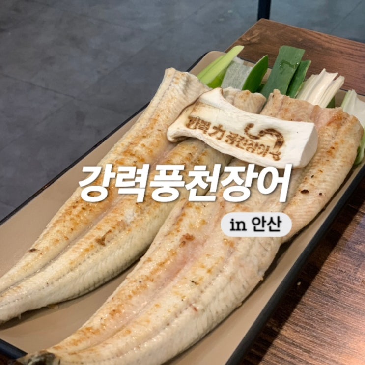  안산 장어구이 맛집 몸보신으로 최고인 강력풍천장어
