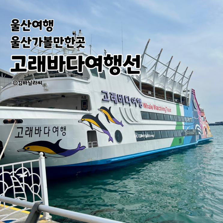  울산 남구 장생포 고래바다여행선 2025년 첫 출항 승선 후기