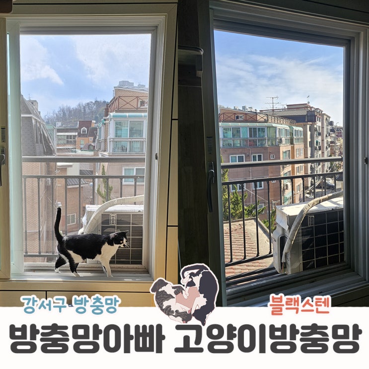  강서구 고양이 방충망 블랙스텐 방충망아빠 교체시공후기