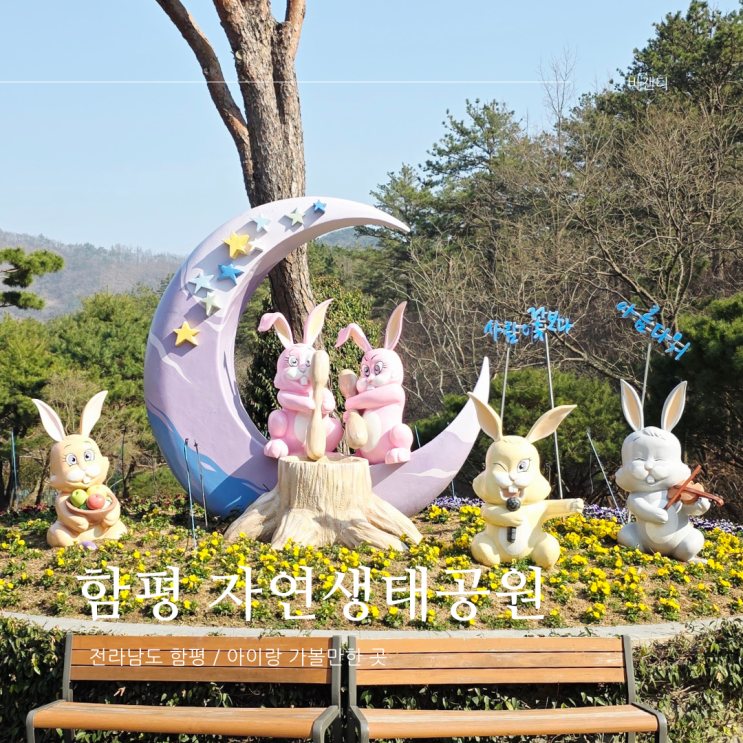  함평 아이랑 가볼만한 곳 함평자연생태공원