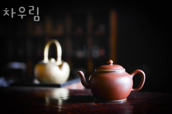 차우림 사진 4
