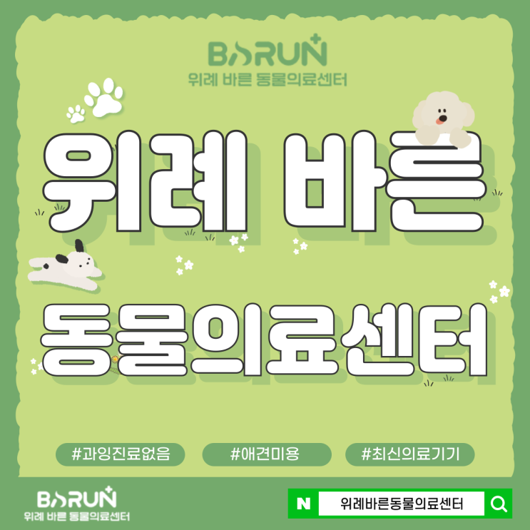  감일 동물병원 강아지 중성화 알아보기