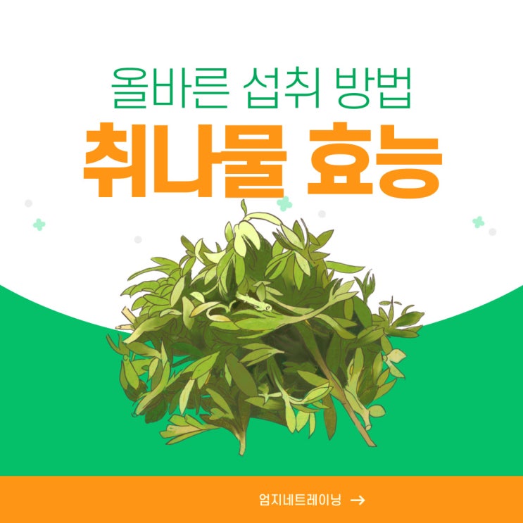 취나물 효능과 올바른 섭취 방법 알아보기