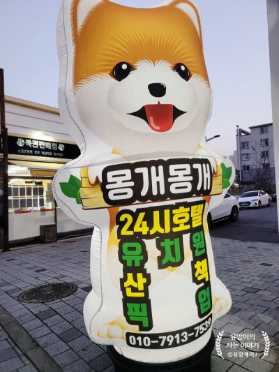 몽개몽개 애견호텔&애견유치원