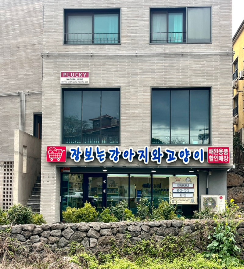 사진 5