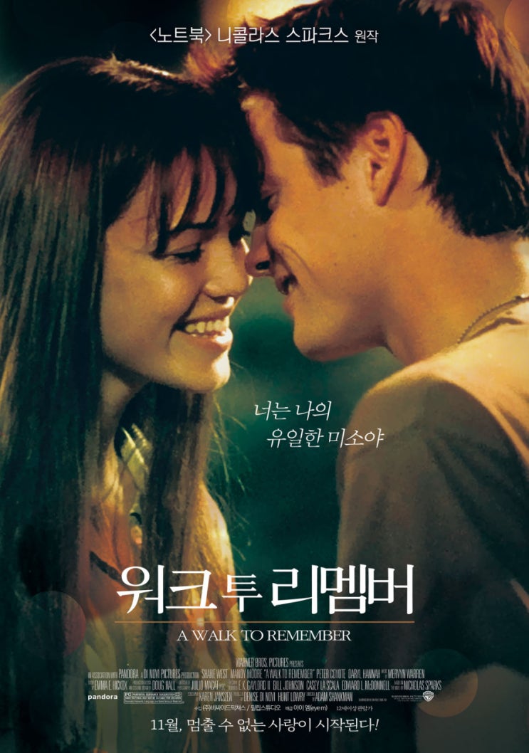 영화 워크 투 리멤버  (A Walk To Remember 2002)