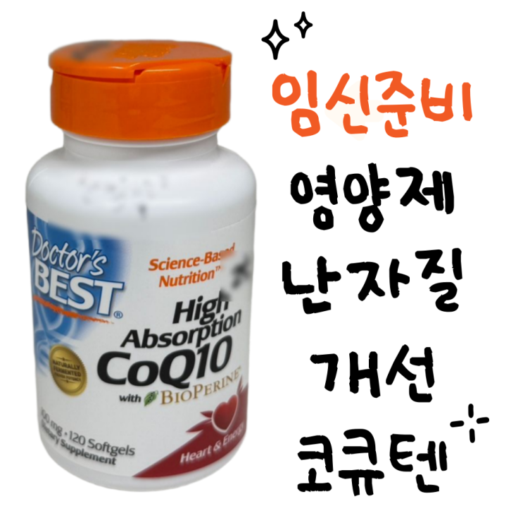 임신 준비 영양제 추천 난자질 개선 코큐텐 임신성공 아이허브