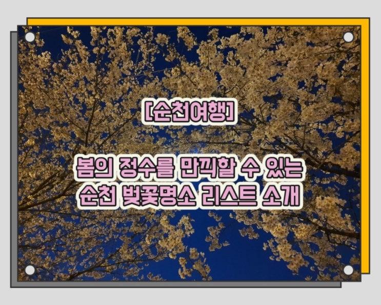 [순천여행] 봄의 정수를 만끽할 수 있는 순천 벚꽃명소 리스트 소개