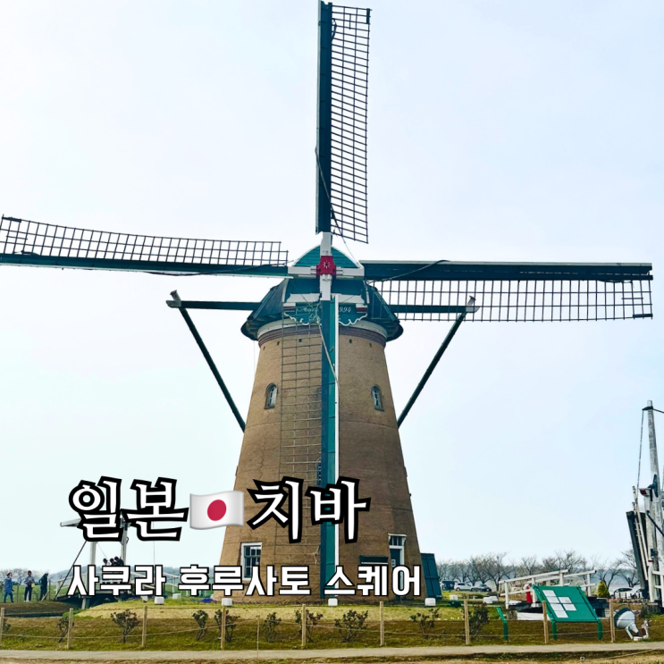 도쿄근교여행 치바여행 벚꽃 튤립 가득한 사쿠라 후루사토 스퀘어 도쿄근교여행 치바여행 벚꽃 튤립 가득한 사쿠라 후루사토 스퀘어