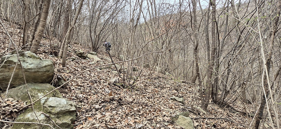 장구목산 사진 3