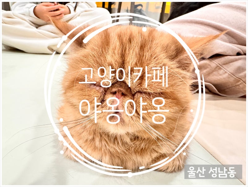 사진 3