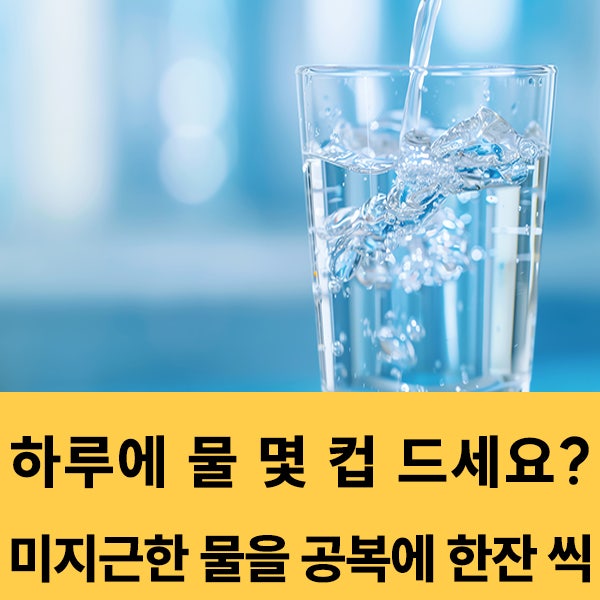  하루에 물 몇컵 드세요? 아침 공복에 물한잔이 건강을 지켜준다!