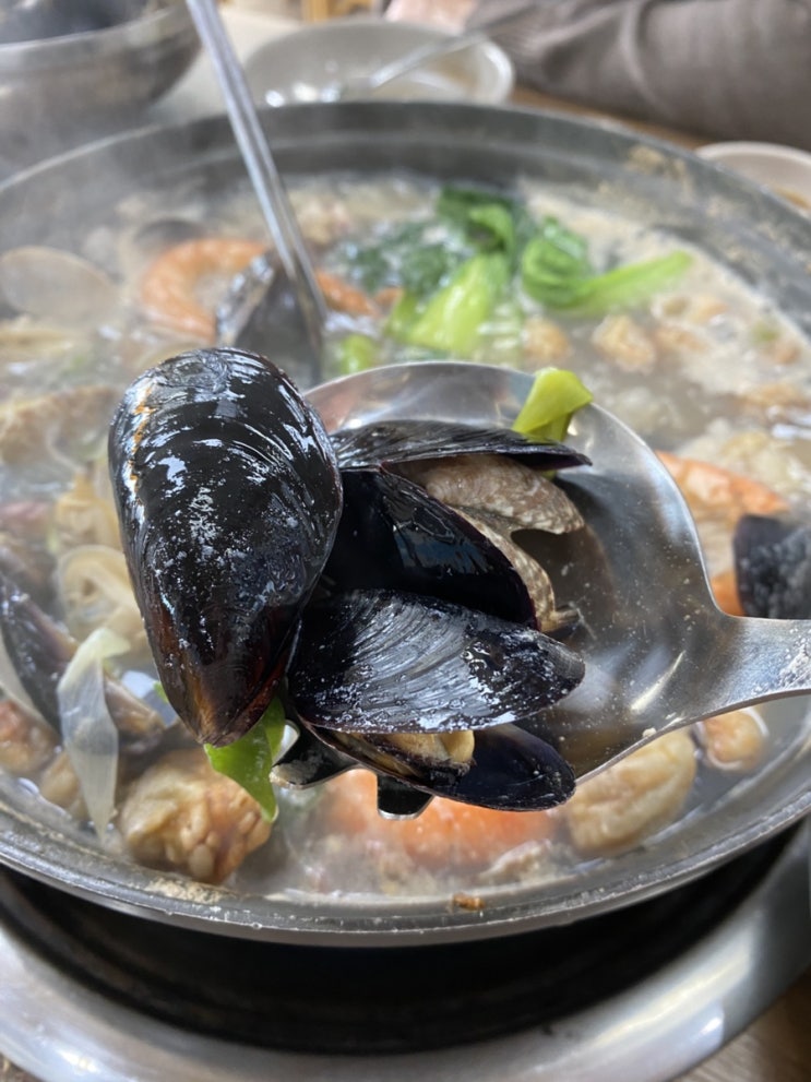  엄마랑 다녀온 충남서천맛집 서천해물칼국수 서천시장맛집 서천ic맛집 스페셜해물칼국수 용왕님만두 서천칼국수꿀팁