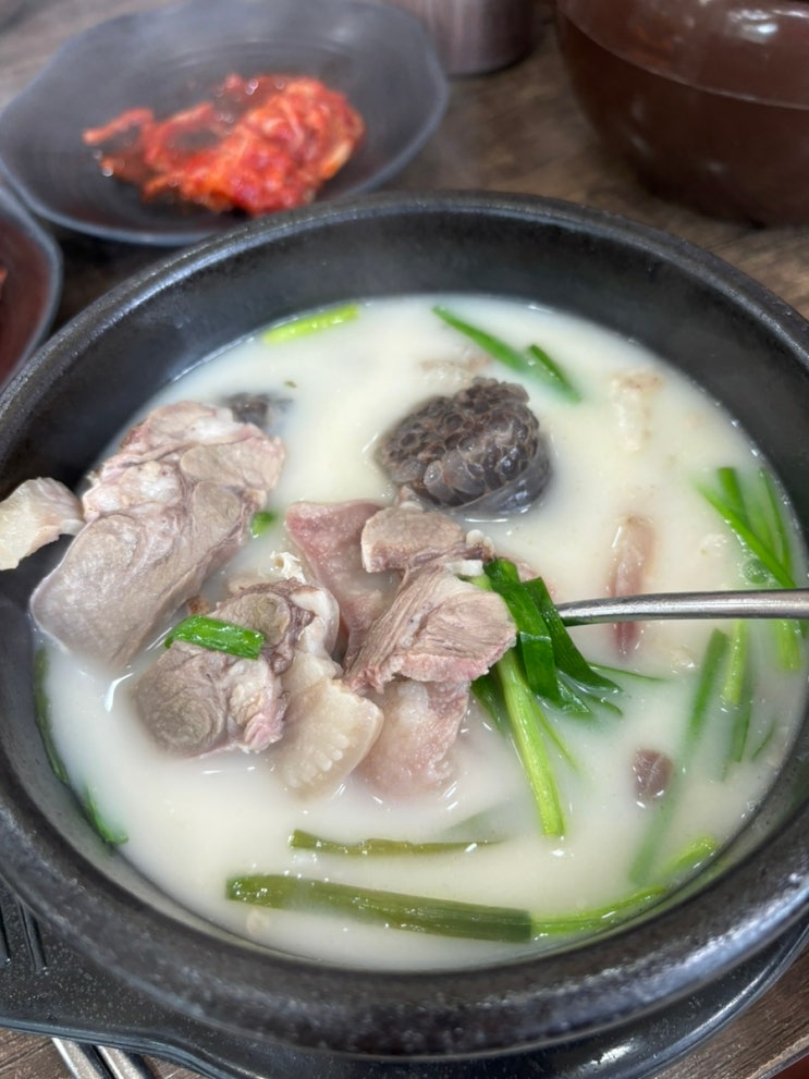  서울 양천구 신정동 맛집 순대국밥 나들이…신의주찹쌀순대 서남병원점