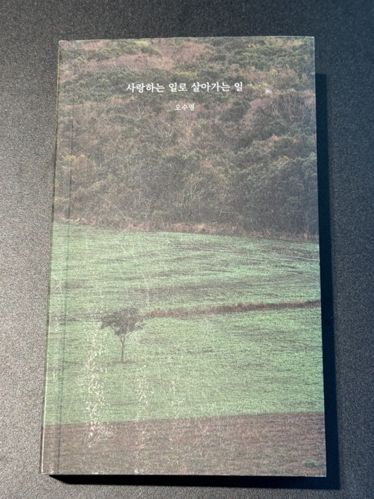  [독후감] 사랑하는 일로 살아가는 일 - 오수영