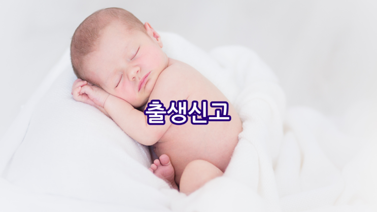  친자확인검사를 통한 출생신고 못한 자녀 신고 방법