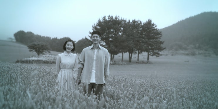  넷플릭스 오리지널 드라마 '폭싹 속았수다' 감상평 감상 후기