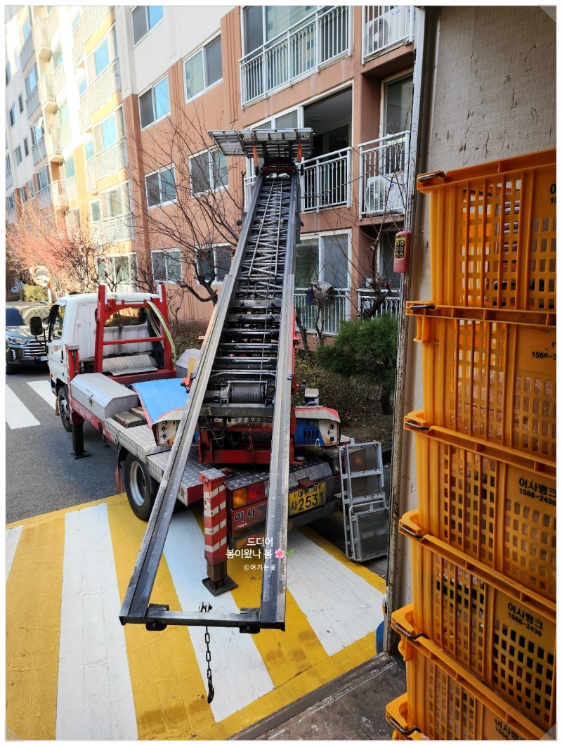 대구이사 전문, 이사뱅크 북구지점에서 안전하고 깔끔한 이사를 시작하세요