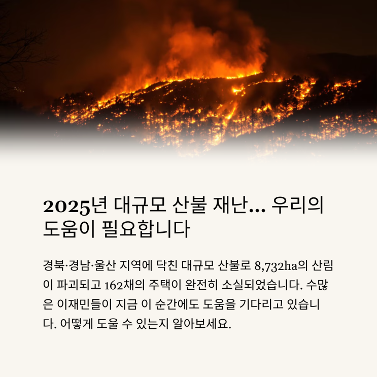  산불 피해 기부 및 긴급 모금 지원금 신청 방법 총정리