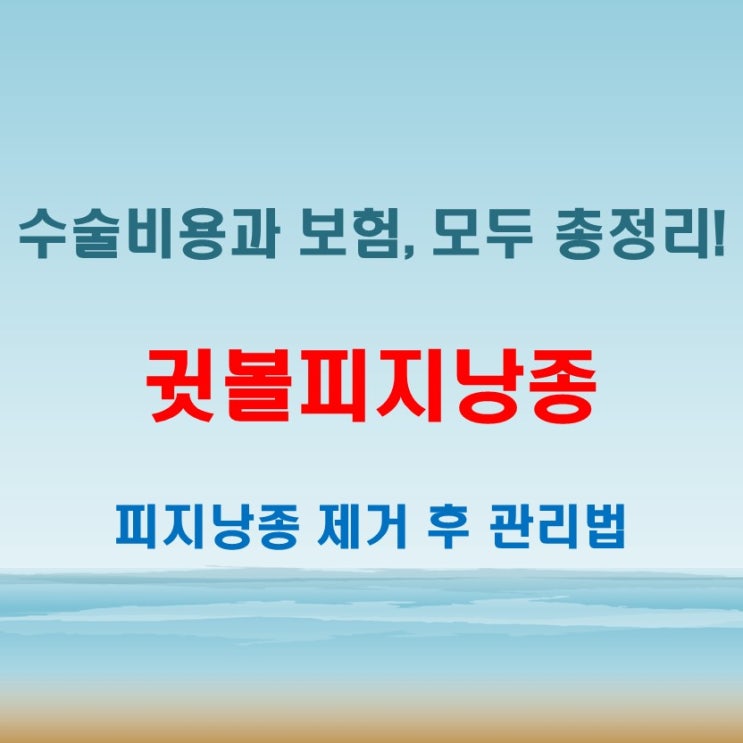  귓볼피지낭종 제거 수술, 보험까지 현실적인 정보 총정리