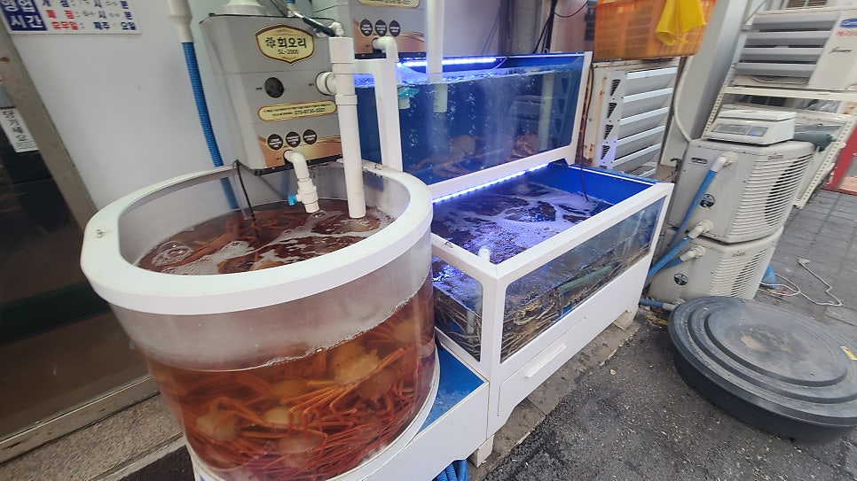 대게좋은집 정왕점 사진 3