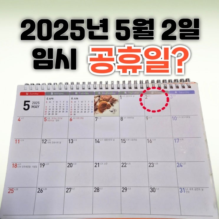 2025년 <b>5월 2일 임시공휴일</b> 지정될까?