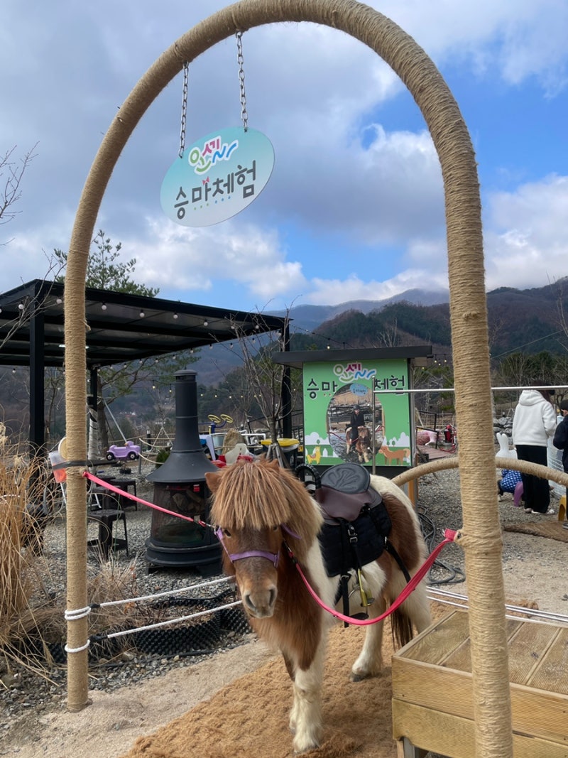 가평 승마체험 [오세르키즈앤패밀리풀빌라]/키즈패밀리2/대형 온수풀 키즈펜션